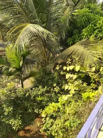 Gulmohar Cottages - Home Stay in Alibag - Image 2