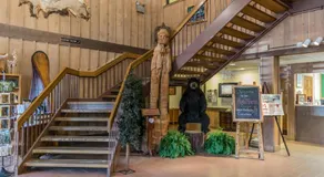 Abe Martin Lodge & Cabins - Image 5