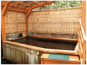 Tohoku Onsen - Image 4