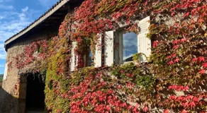 Le Gîte de Buffetières - Image 5