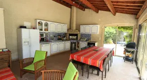 Santolines en Provence - Image 5