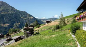 Alte Bock 2.0 - Image 5