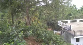 White Eco Villa - Image 5