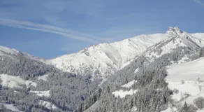 Jugendhotel Gruber - Image 5