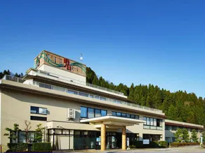 Baden Akebi - Image 4