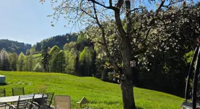 Einzigartige Schlafkojen - Image 4