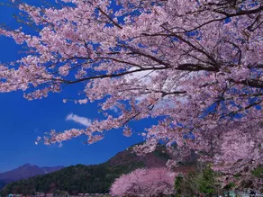 Private House Sora / Vacation STAY 1123 - Image 4