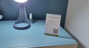 fico d'india - Image 3