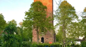 Theetuin en B & B 'De Theetuin' - Image 5