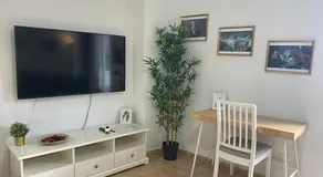 Central Apartment in La Laguna - Image 5