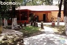Forest Mirage Sef Check-in &Service Campina - Image 3