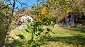 La Casa nel Bosco BeB - Image 5