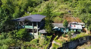 Green House - Image 2