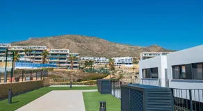 Campo Rosso Serpetine - Image 5