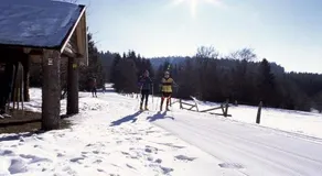 Landgasthof Haus zur Sonne Sauerland - Image 5