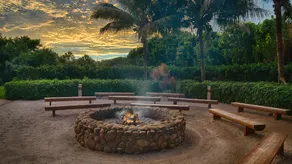 Disney's Vero Beach Resort - Image 5