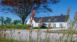 Kunstart20 - Image 3