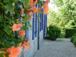 Chambres d'Hôtes La Sauvageonne - Image 5