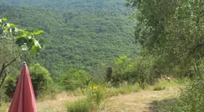 Magnifique roulotte - Image 3