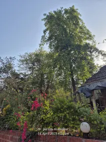 Mamacha Wada Homestay - Image 5