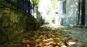 Guest House il Borgo di Sempronio - Image 4