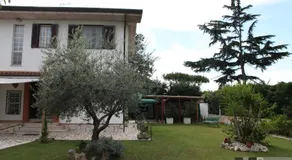 Il Grifo - Image 5