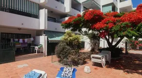 Surycan 007 - Image 3