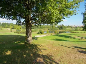Spacious cottage suitable for disabled on an estate with a heated pool - Image 4