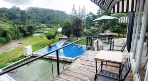Shine River - Image 4