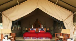 Olengoti Eco Safari Camp - Image 2