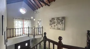 11 Gibbs Glade - Image 4