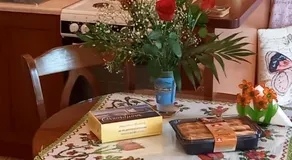 ΠΗΛΙΟ- ΤΟ ΕΞΟΧΙΚΟ ΤΗΣ ΑΝΝΑΣ- ΑΦΗΣΣΟΣ - Image 4