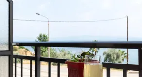 Kiwi Kastle - Image 3