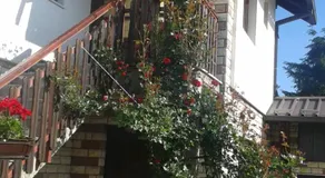 Apartment Bućić - Image 5