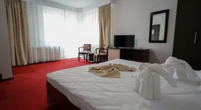 Vila Trandafirul si Liliacul - Image 2
