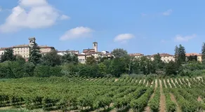 Benvenuti Altrove - Image 5