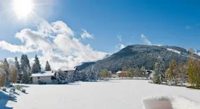 Offre un espace pour jusqu'à 8 personnes Chalet Solymont par MoniCare dans un endroit calme et ensoleillé - Image 4