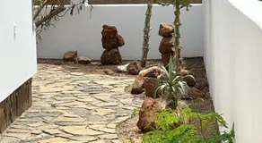 Djon’s place - Image 4