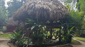 Alice Guesthouse - Image 4