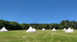Dorset Glamping Fields - Image 4