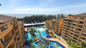 Studio | Gold Coast Morib [A1417] - Image 3
