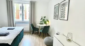 Top Apartment in Center of Zurich - Image 2