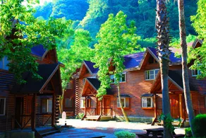 Master Bear Resort - Image 5