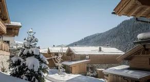 Farm Resort Geislerhof - Private Chalets - Image 3