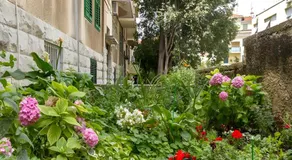 Old Town & Free Parking - Sweet Studio Apartment Dado with Balcony - Image 5