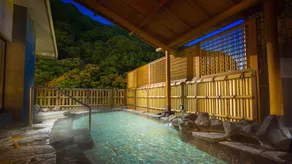 Hakone Pax Yoshino - Image 3