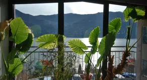 Andrea Olga House - Image 4