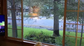 Litet charmigt hem, Gateway till Sierra Outback, minuter från Lake Tahoe - Image 3