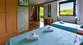 House Pavlic - Image 2