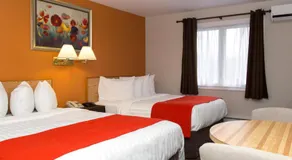 Hotel Robin Hood - Image 5